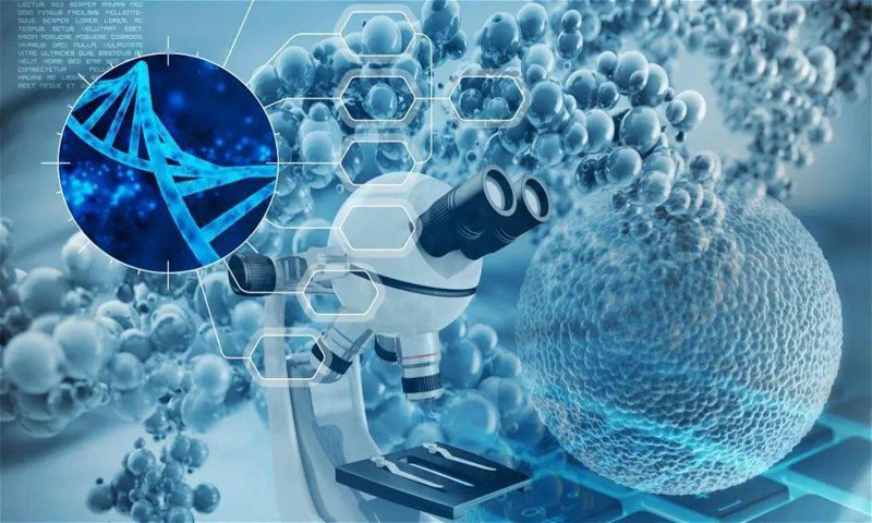 生物技术开发：引领未来创新的灯塔