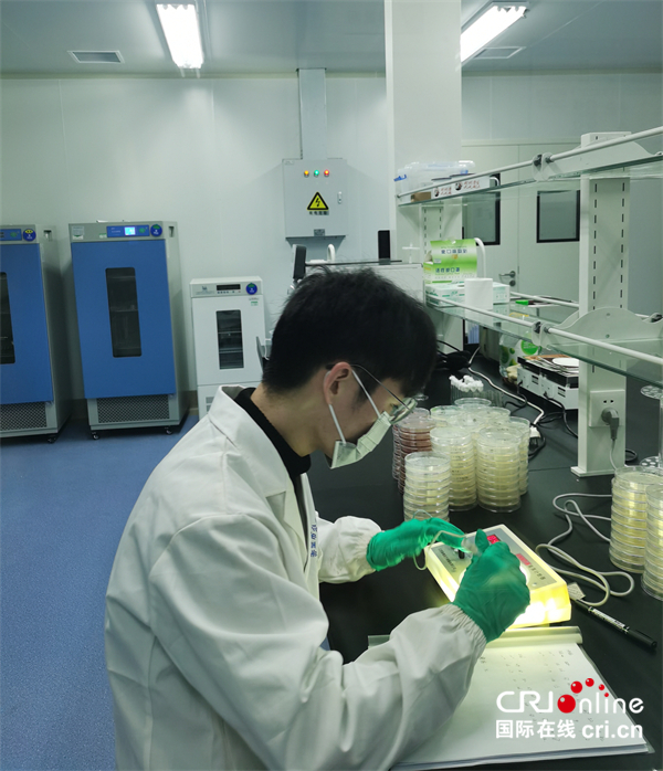 微生物检测服务